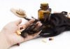 Can Antibiotics Cause Hair Loss: What Medications Can Cause Hair Loss? Can Antibiotics Cause Hair Loss: What Medications Can Cause Hair Loss?