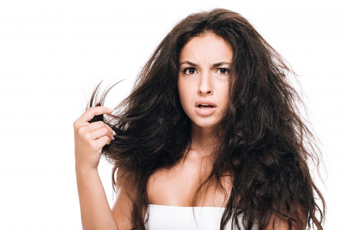 Oily Scalp and Dry Hair Oily Scalp and Dry Hair
