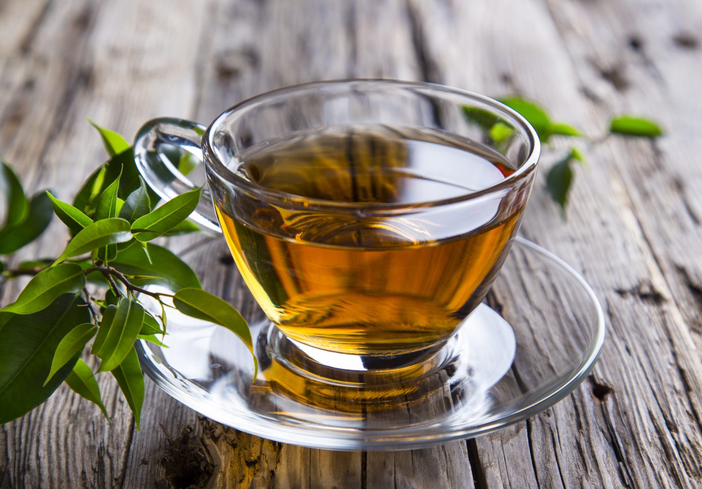 green-tea-for-hair-loss-does-it-work-2022-hair-loss-geeks