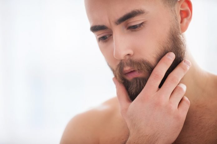 Beard handsome. Portrait of confident young beard man holding hand on chin and looking away
