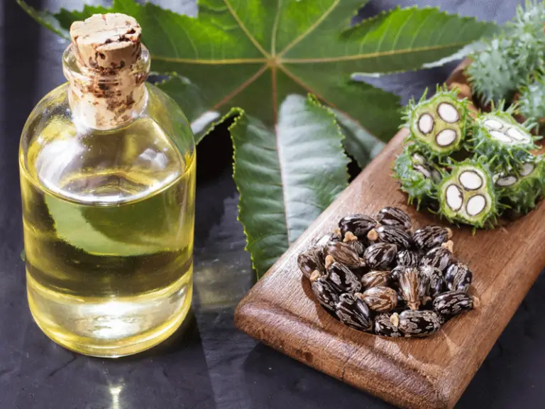 Organic Castor Oil for Hair Loss: Does it Help with Hair Regrowth?