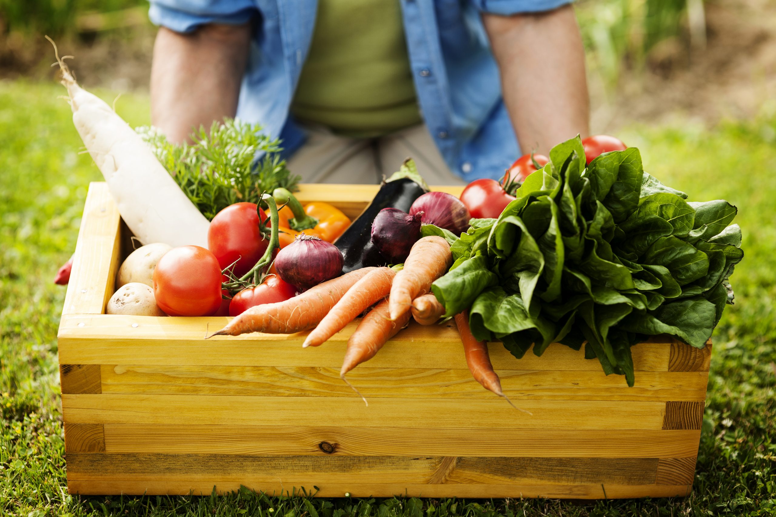 vegetables for hair loss