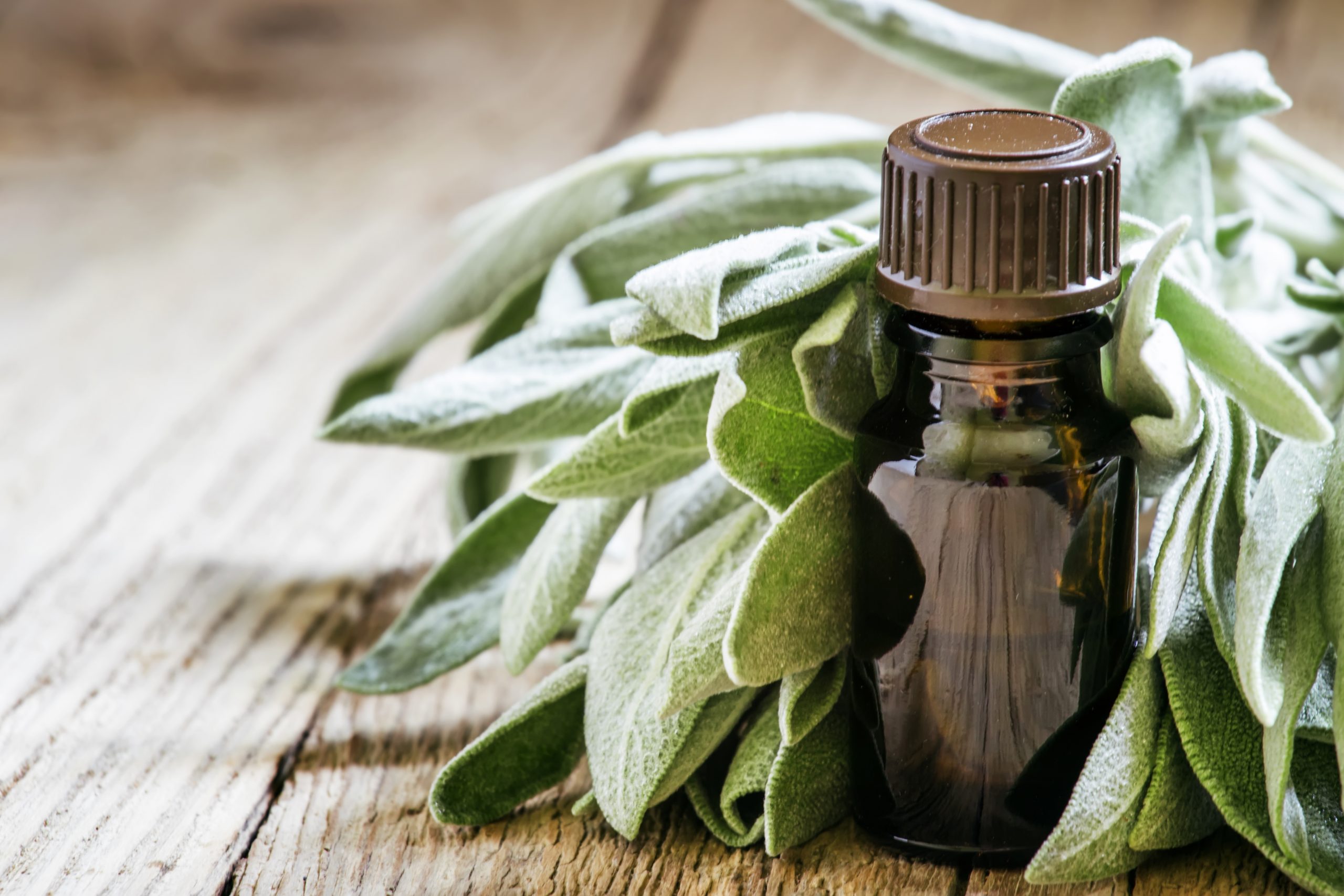 Sage oil for hair loss