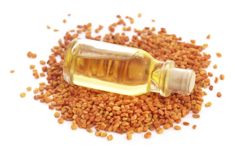 fenugreek oil for hair