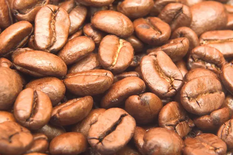 Coffee Bean Oil – Does Caffeine Help Hair Grow?
