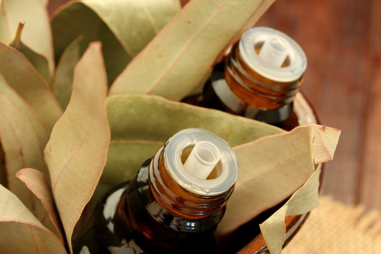 Eucalyptus Oil: Is it Good for Hair? 2021 - Hair Loss Geeks