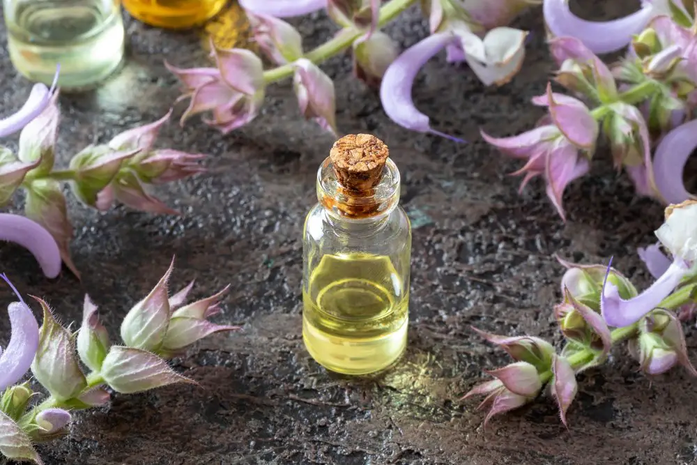 How to use clary sage oil for hair
