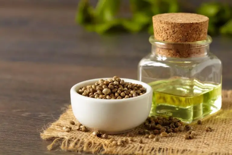 Hemp Seed Oil for Hair Loss Review