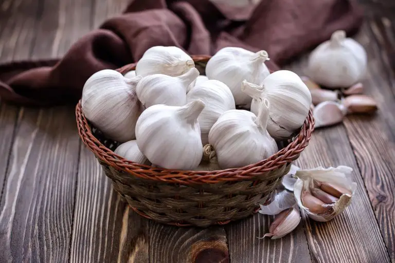 Garlic: Does it Work For Hair Loss?