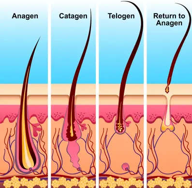 Laser Hair Growth Caps for Thinning Hair