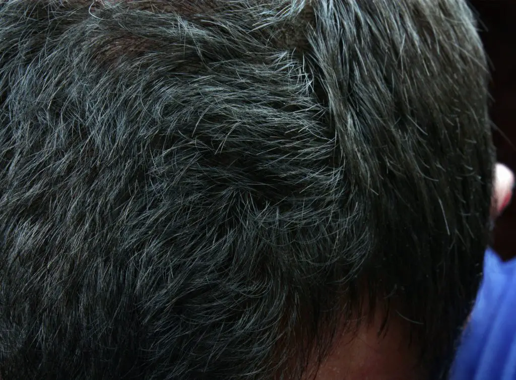 Седина в исламе. Седина в исламе. Седые волосы. Длинные волосы в исламе. Седина волос.