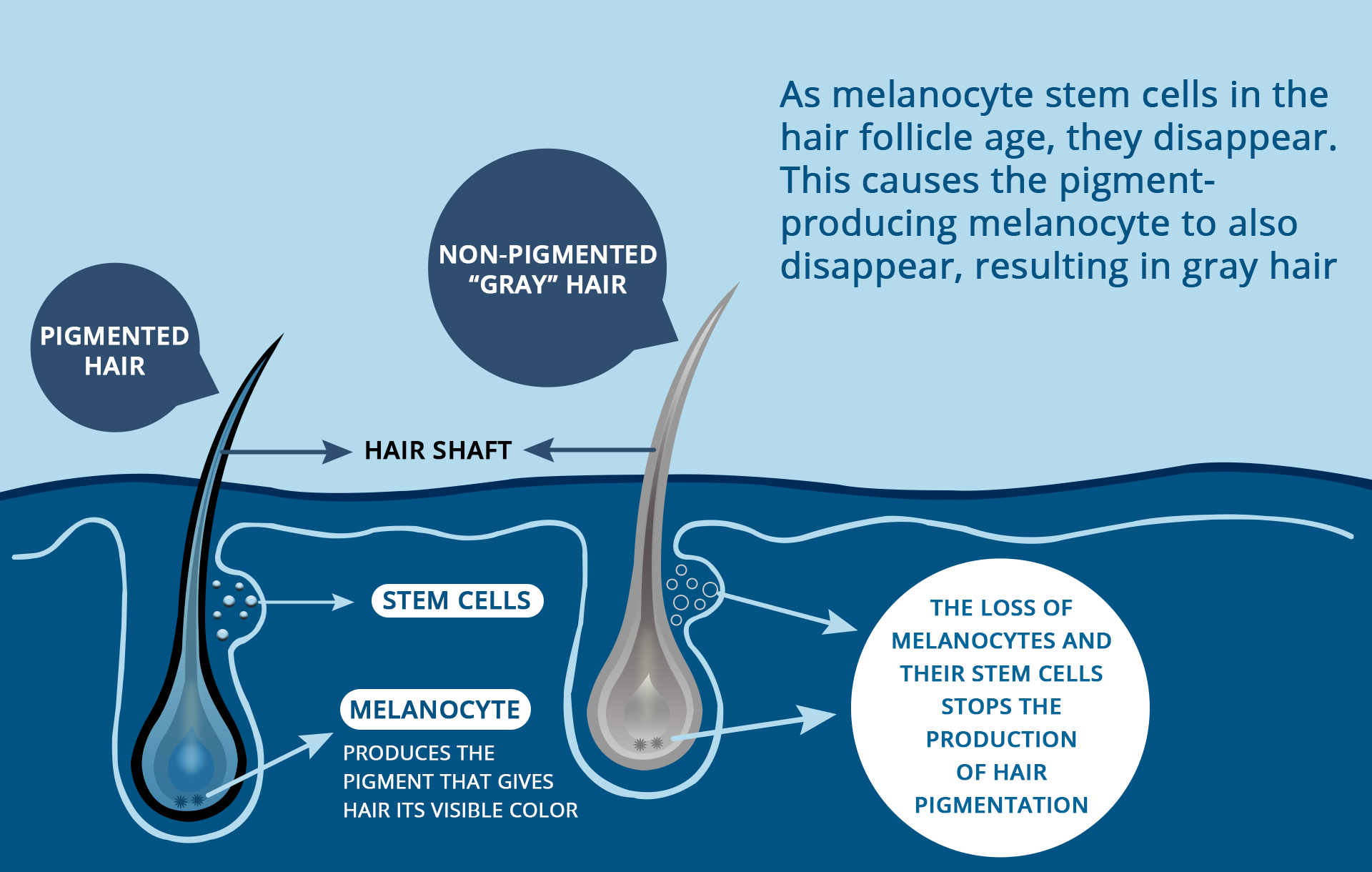 Foligray Review Does It Work To Cure Gray Hair? 2020 Hair Loss Geeks