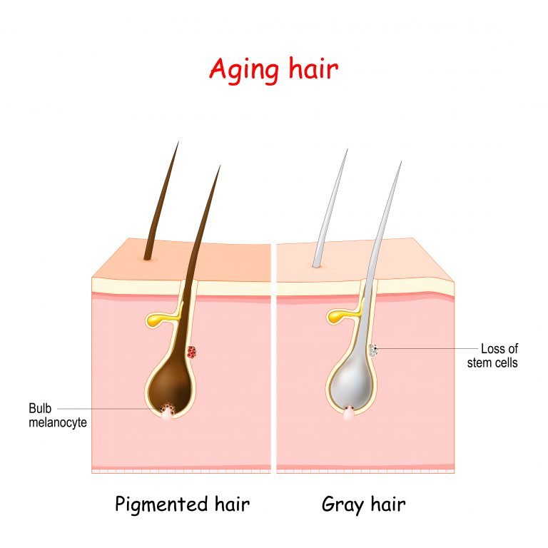 Details more than 69 melanin pigment in hair latest - in.eteachers