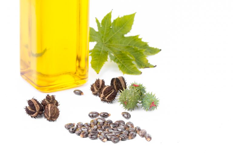 Jamaican Black Castor Oil vs Castor Oil