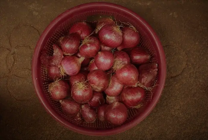 Onion Juice For Baldness