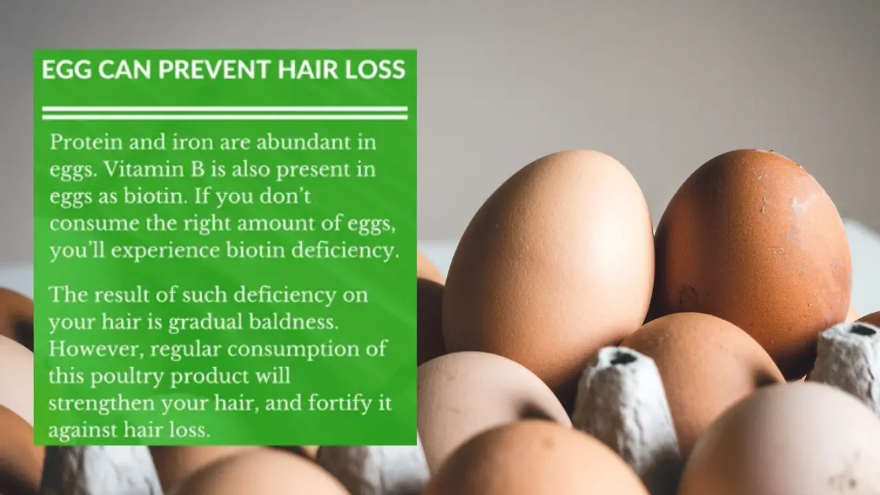 Eggs for Hair Loss