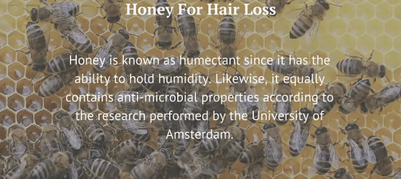 Honey for Hair Loss