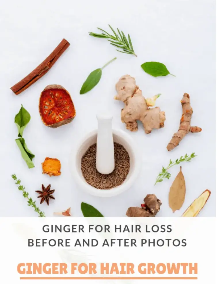 Ginger For Hair Loss Before And After Effects (Step By Step Guide)