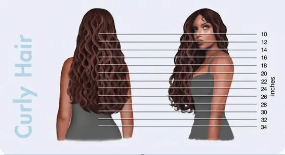 Hair Length Chart Everything You Need To Know