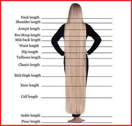 full hair length chart