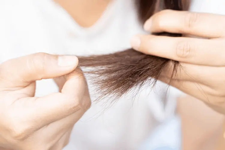  تقصف الشعر  Grape-seed-oil-benefits-for-hair