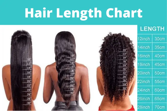 Hair Length Chart Everything You Need To Know 2075