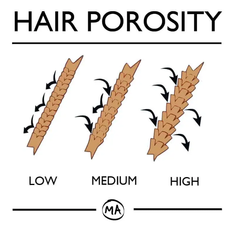 hair porosity chat