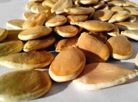 pumpkin-seeds