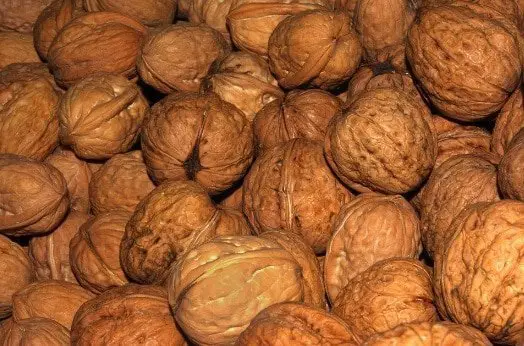 walnuts