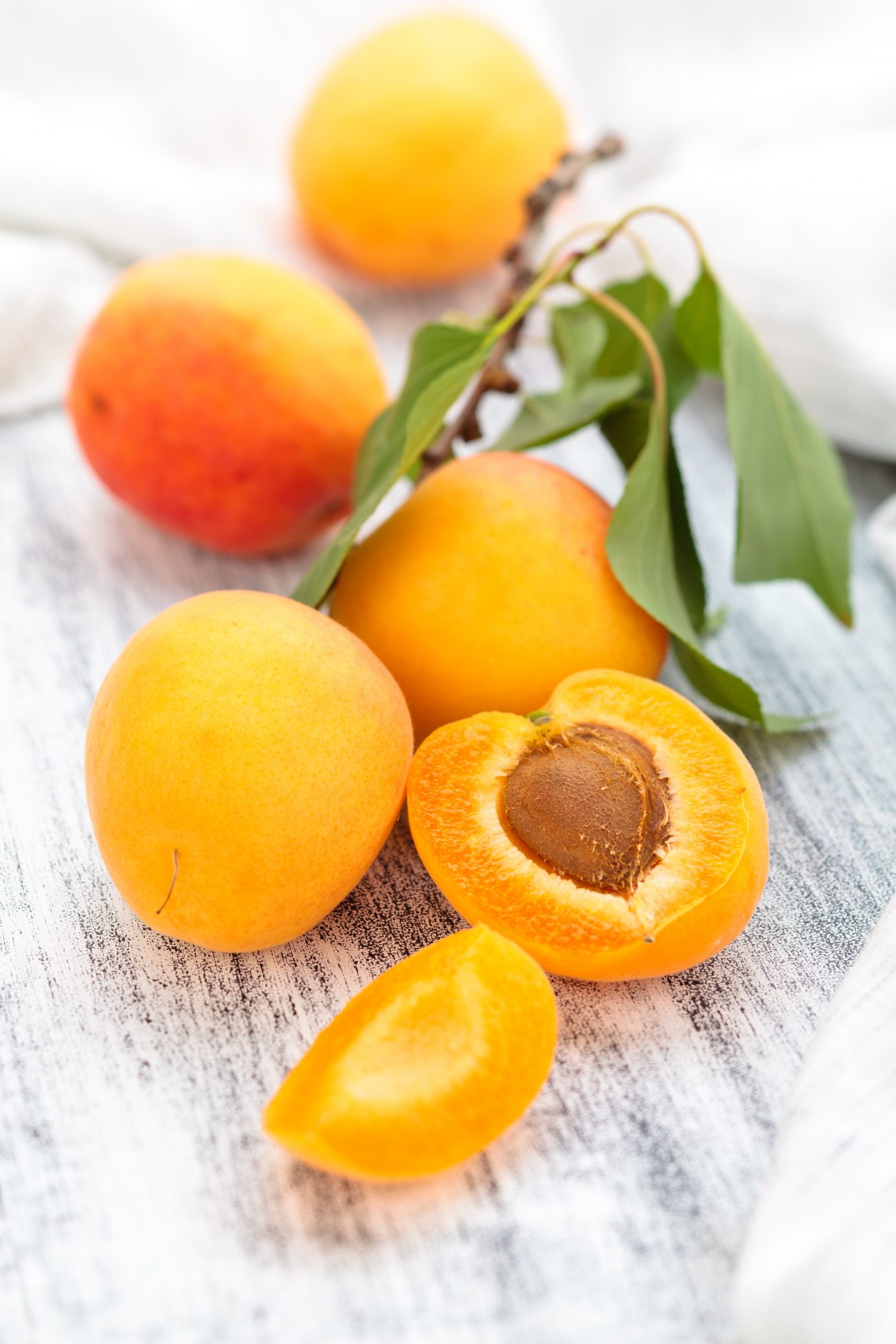 Apricot Kernel Oil For Hair Loss 2022 Hair Loss Geeks