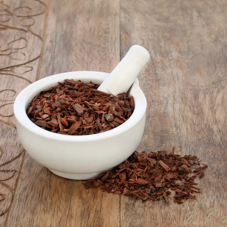 Pygeum Extract: Does it Work for Hair Loss?