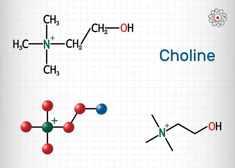 Choline: Does it Work for Hair Loss?