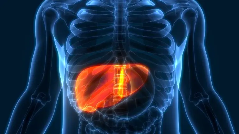 Folexin Liver Damage: Should You Be Worried?