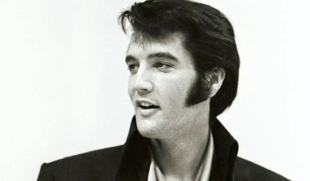 Elvis Presley Sideburns