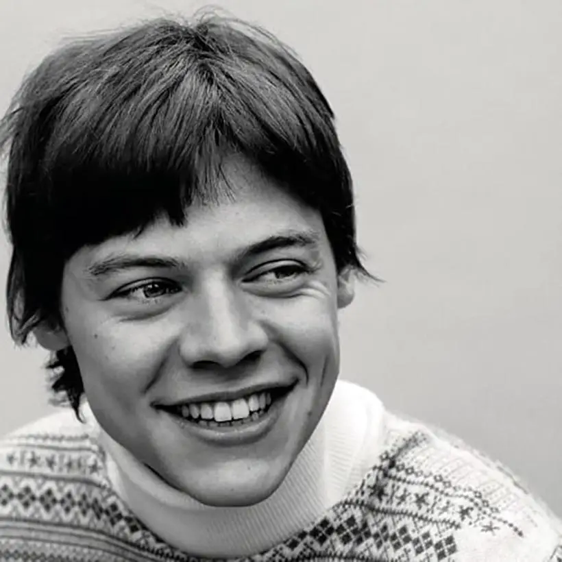 Harry Styles Bowl Cut with Curtain Bangs