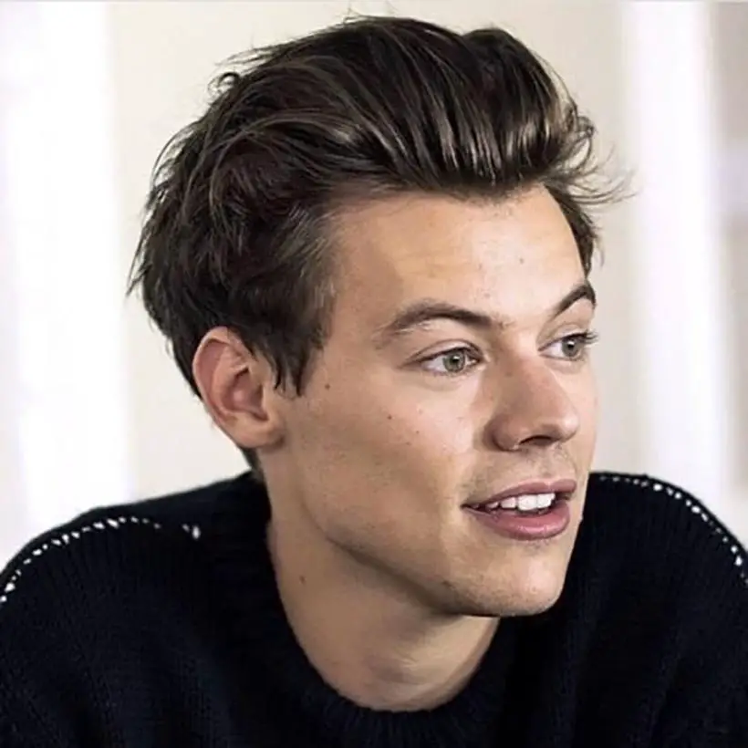 Harry Styles Straight Hair with Swept-Back