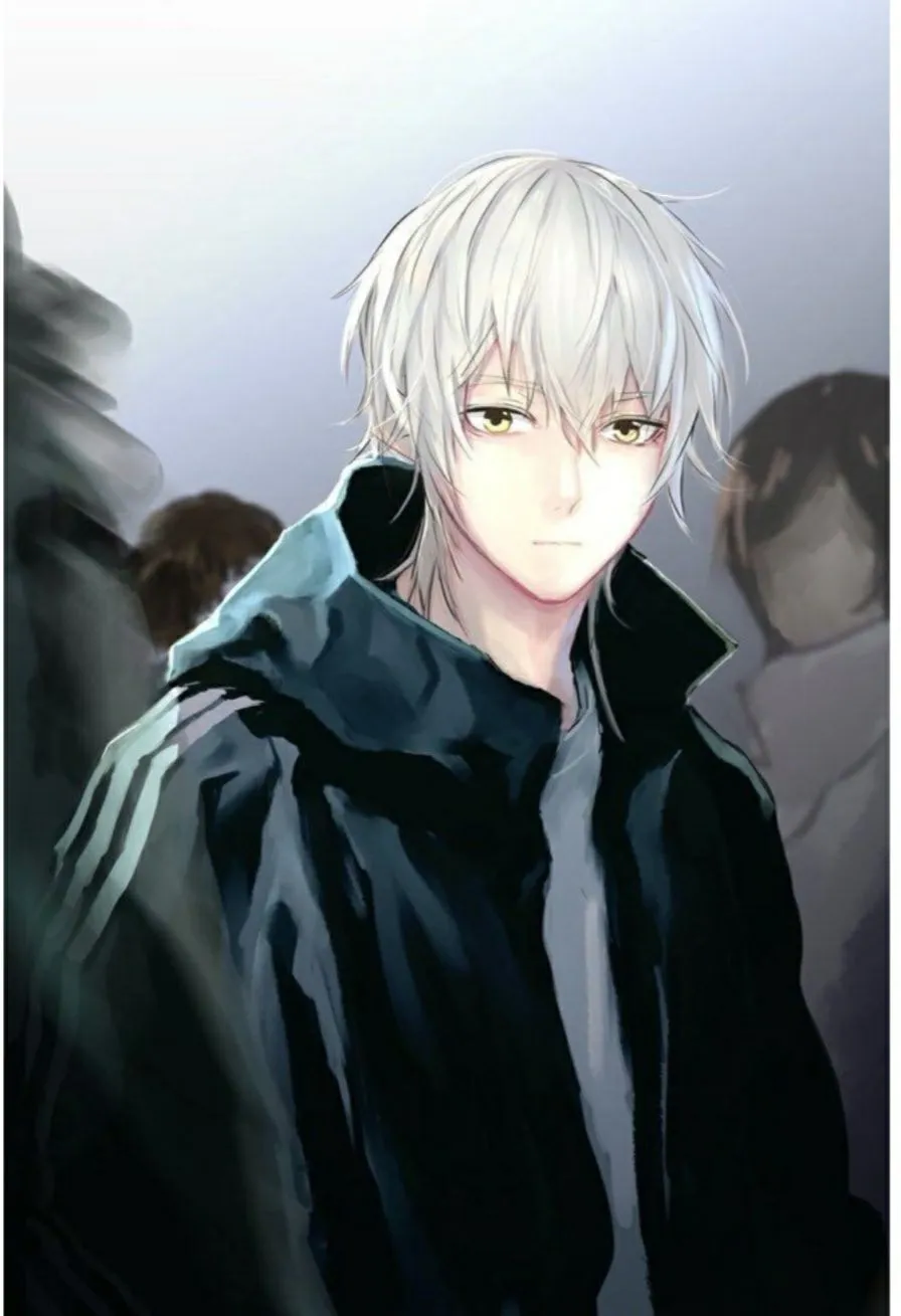 The Best White Hair Anime Boy of All Time 2022 - Hair Loss Geeks