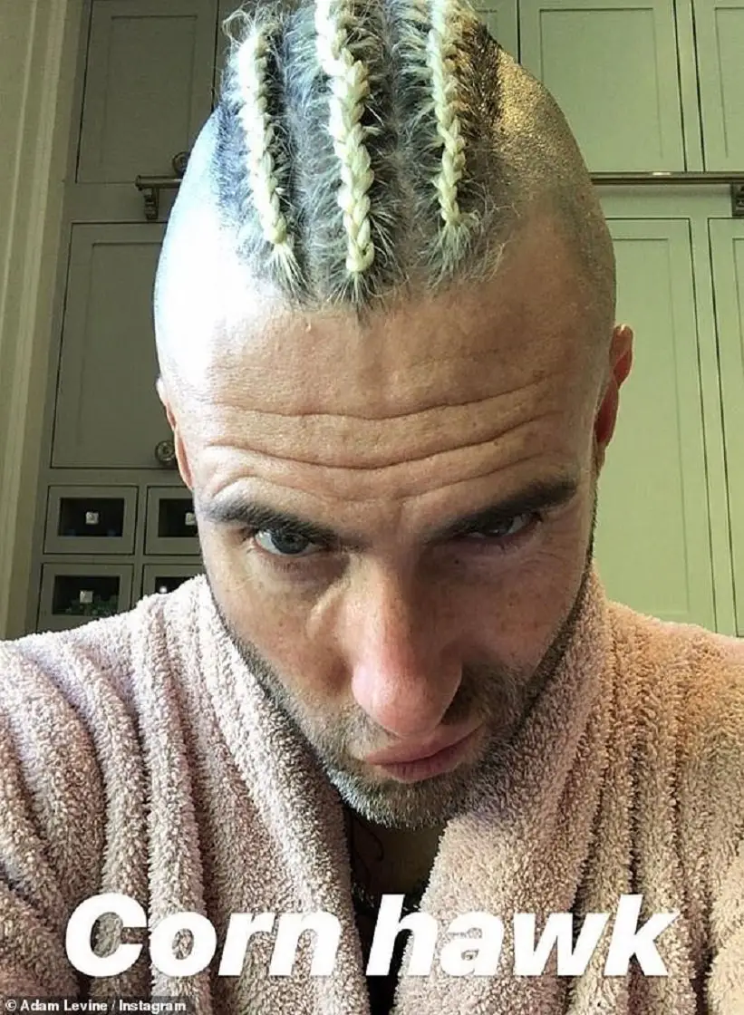 cornhawk