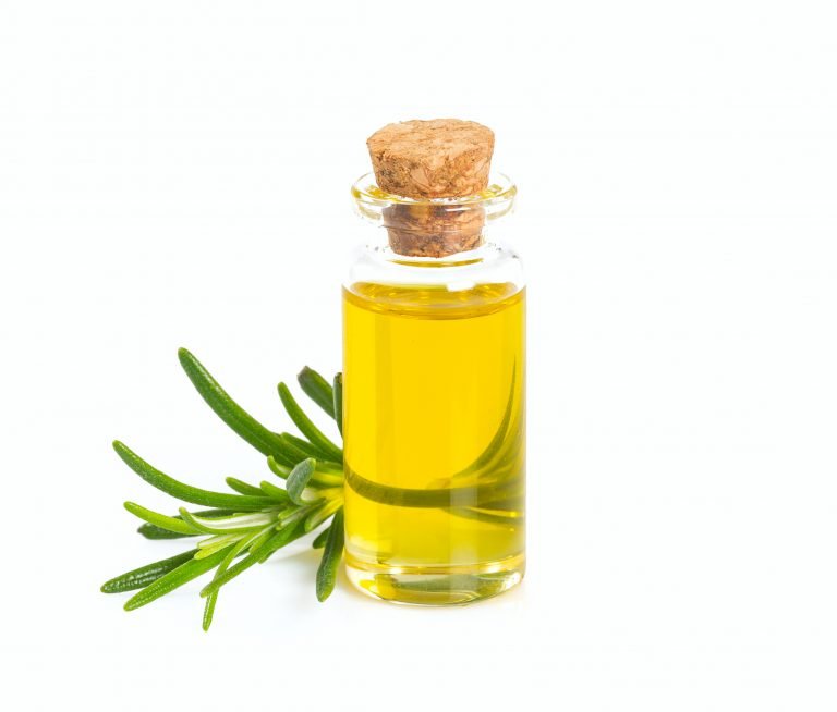 Does Rosemary Oil Grow Hair?