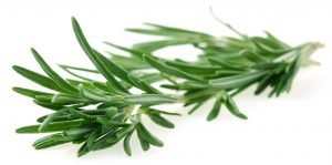 Rosemary Oil For Hair Growth Before And After