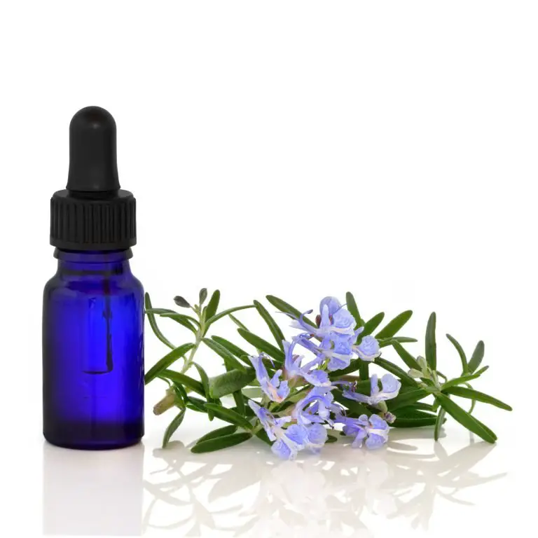 Best Rosemary Oil For Hair Growth 2022 Hair Loss Geeks 3300