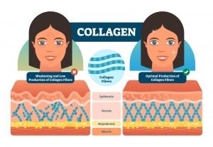 Can You Take Biosil And Collagen Together